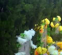 土火二次葬是农业民族泥土情节