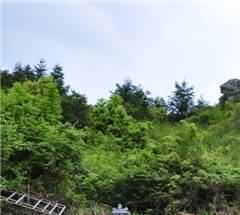 南京市酝酿和筹办火葬场