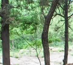 南京市建设大营盘火葬场