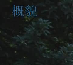 南京市改造清凉山火葬场