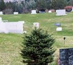 “情、理、法”的综合考量