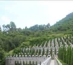 葬俑数量与墓葬级别之间的关系