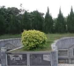 天道观的大地生气说与风水思维