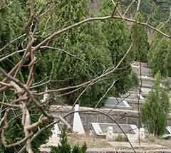 出殡前应做的准备