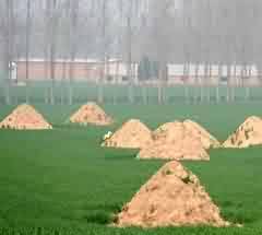 萝卜寨概况及由来